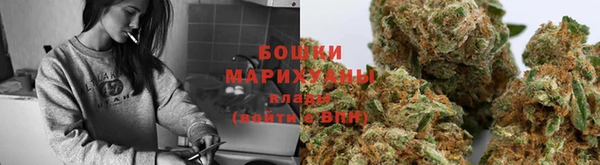 сатива Чердынь