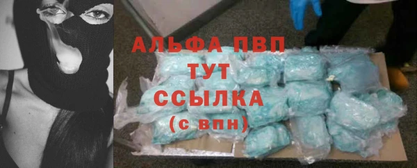 сатива Чердынь