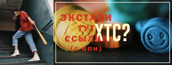 СК Протвино
