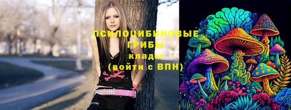 Альфа ПВП Пролетарск