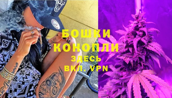 СК Протвино