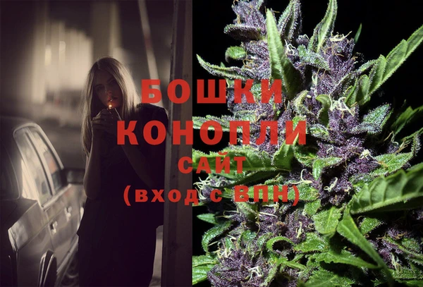 СК Протвино