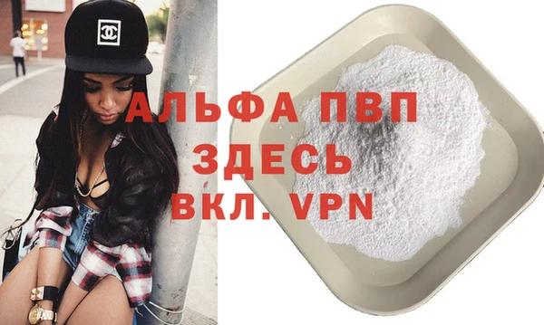 сатива Чердынь