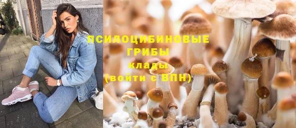 хмурый Приозерск