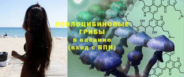 СК Протвино