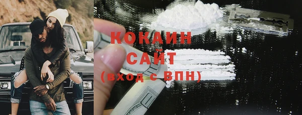 сатива Чердынь