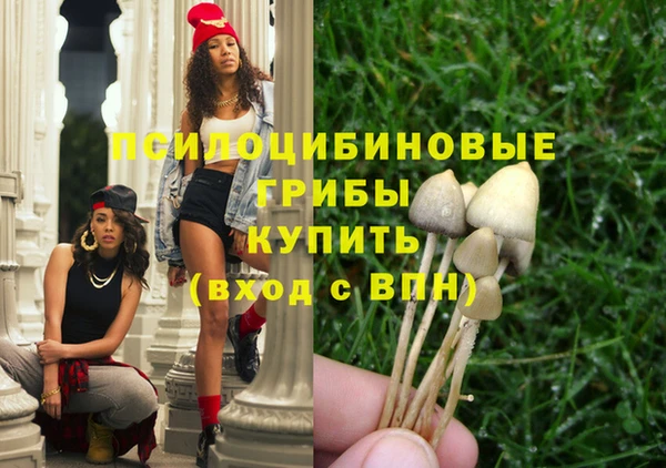 Альфа ПВП Пролетарск