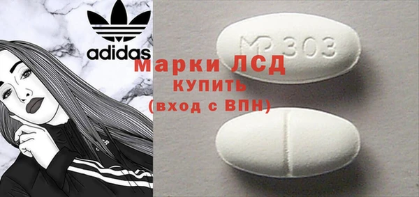 сатива Чердынь