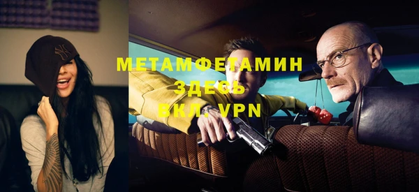 прущие грибы Чекалин