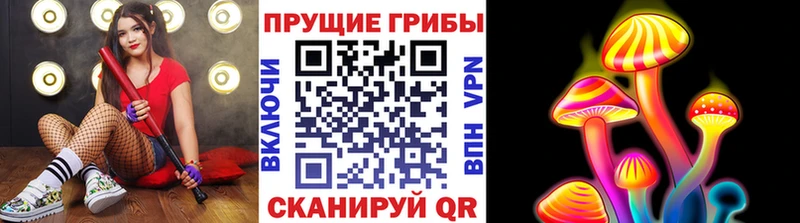 где можно купить   Ак-Довурак  Псилоцибиновые грибы Psilocybine cubensis 